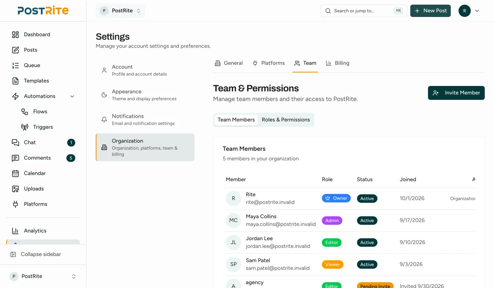 The Team & Permissions page listing the owner, an admin, an editor, a viewer and a pending invite